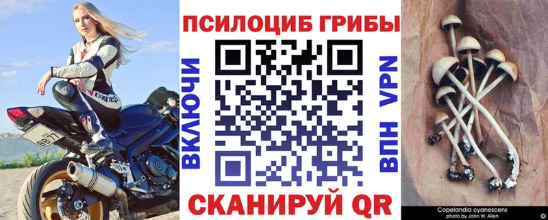 как найти закладки  Аша  Галлюциногенные грибы Magic Shrooms 